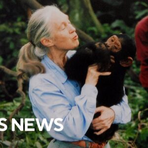 Jane Goodall dies at 91