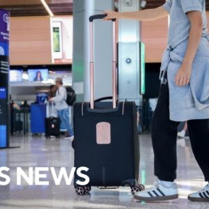 Flight bookings for 2025 holiday season already up from 2024, data shows