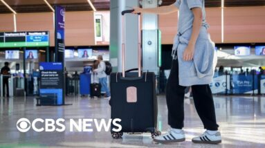 Flight bookings for 2025 holiday season already up from 2024, data shows