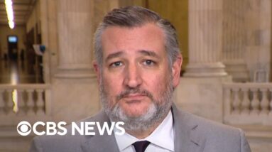 Ted Cruz says government shutdown inflicting pain on federal workers "for no point whatsoever"