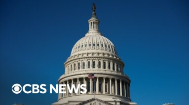 Senate failed to pass a funding bill again as government shutdown stretches to Day 15