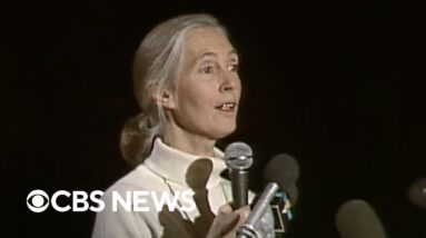 From the archives: Jane Goodall speaks about her chimpanzee research at West Virginia University