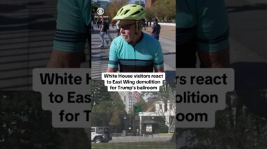 White House visitors react to East Wing demolition for Trump's ballroom #shorts