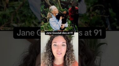 Renowned conservationist Jane Goodall dies at 91 #shorts