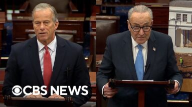 Watch: Thune, Schumer address government shutdown Day 23 ahead of vote to pay some federal workers