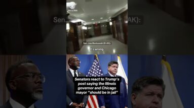 Senators react to Trump's post saying Illinois governor, Chicago mayor "should be in jail" #shorts