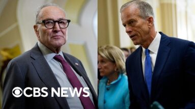 Senate voting on Democrat, Republican funding bills again as Americans feel government shutdown