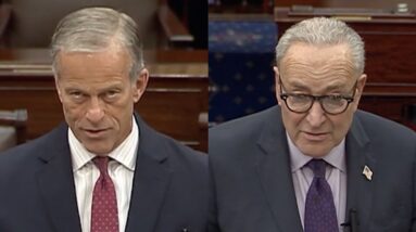 Thune and Schumer speak about government shutdown on Day 20