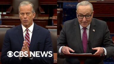 Thune accuses Democrats of prioritizing "far-left" demands, Schumer slams GOP leader's comments