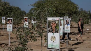 Nova music festival memorial marks 2 years since October 7 attacks in Israel