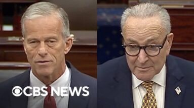 Watch: Thune, Schumer speak on Senate floor before 5th funding bill vote