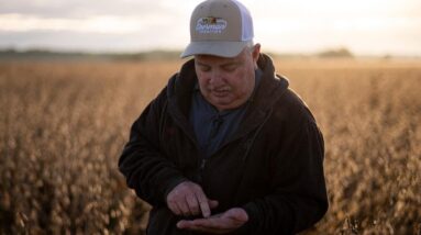 Farmers worry that China tariffs will impact their income despite Trump trade agreements