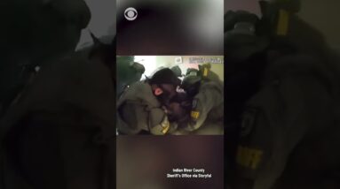 Man hiding from police in Florida crashes through ceiling into custody of SWAT team #shorts