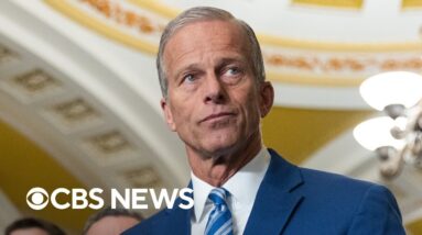 Thune "optimistic" about ending shutdown this week, Election Day preview and more | The Daily Report