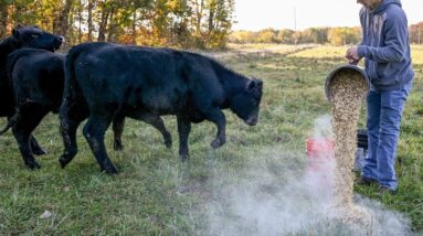 Farmers react to end of the government shutdown