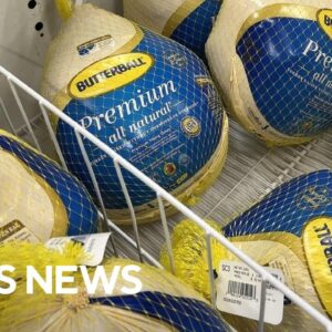 How AI can help you save money on Thanksgiving this year