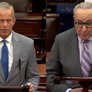 Watch: Thune, Schumer speak as FAA orders flight reductions due to government shutdown