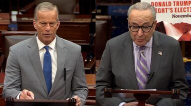 Watch: Thune, Schumer speak as FAA orders flight reductions due to government shutdown