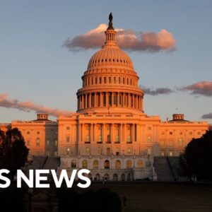 House returns after 7 weeks to tackle shutdown, new Epstein emails released and more | The Takeout