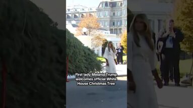 First lady Melania Trump welcomes official White House Christmas tree #shorts