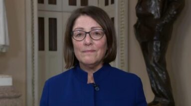 Rep. Suzan DelBene says "Democrats are standing up"