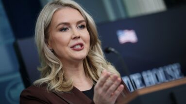 White House slams focus on new Epstein emails referencing Trump as shutdown conclusion nears