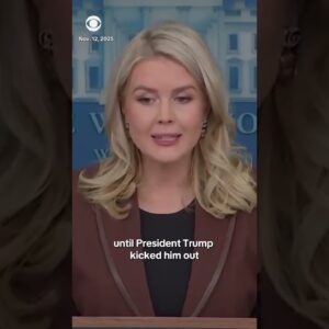 White House press secretary says Epstein “emails prove absolutely nothing” after release #shorts