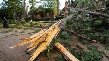 Tornado batters Houston suburbs