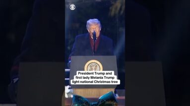 President Trump and first lady light national Christmas tree #shorts