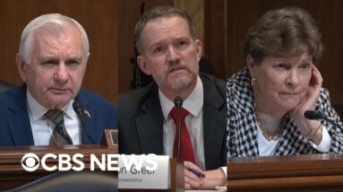 Senators Reed and Shaheen grill Trump trade chief Jamieson Greer over high costs, tariffs