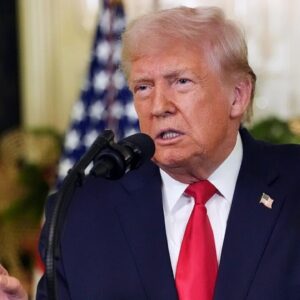 Strategists break down the year in politics