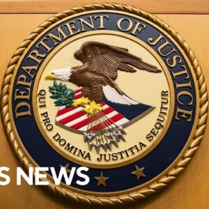 Mass resignations at Justice Department's Civil Rights Division in wake of ICE shooting, sources say