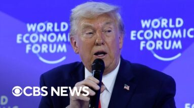 "Damage has been done" to NATO, despite Trump's tariff backtrack, former U.S. diplomat says