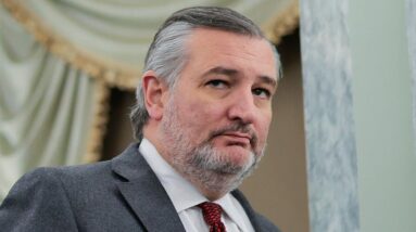 Cruz urges Trump administration to tone down immigration rhetoric