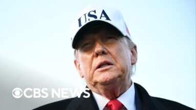 Does Greenland matter to voters?
