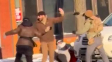 Witness videos show Border Patrol interaction with Alex Pretti moment by moment