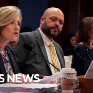 Watch: Minnesota state lawmakers detail "staggering amounts of fraud" at House hearing