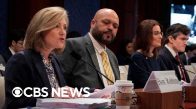 Watch: Minnesota state lawmakers detail "staggering amounts of fraud" at House hearing