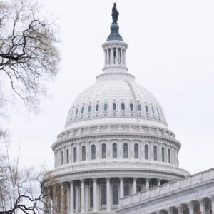 Watch Live: House committee holds hearing on Minnesota fraud | CBS News