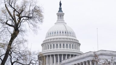 Watch Live: House committee holds hearing on Minnesota fraud | CBS News