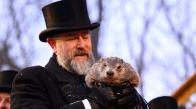 How accurate is Punxsutawney Phil's prediction?