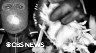 New photos show masked person at Nancy Guthrie's doorstep