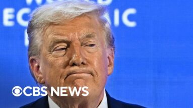 Business owners react to the Supreme Court ruling against Trump's tariffs