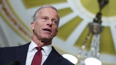 Senate Majority Leader Thune says "I can't guarantee an outcome" on GOP voting bill