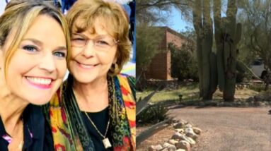 Search for Nancy Guthrie hits Day 45, FBI hopeful about DNA sample