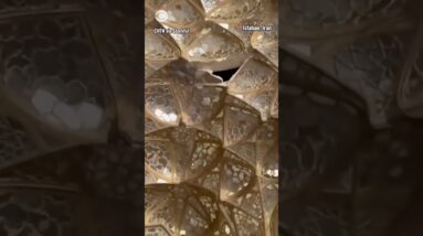 17th-century UNESCO World Heritage Site damaged during U.S.-Israeli attacks #shorts