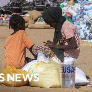Systems to sustain life in Sudan "functionally collapsed" after 3 years of civil war, expert warns