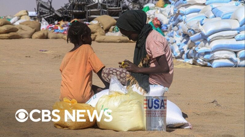 Systems to sustain life in Sudan "functionally collapsed" after 3 years of civil war, expert warns