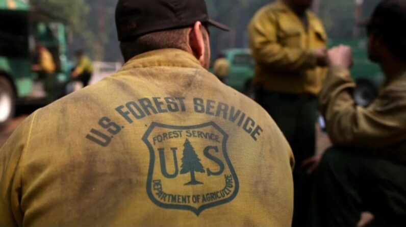 Trump administration to move U.S. Forest Service HQ and shutter research facilities in 31 states