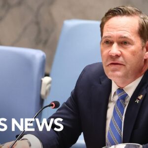 U.N. ambassador Mike Waltz testifies at Senate hearing | full video